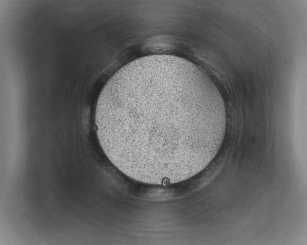 X0000111940319200908171302