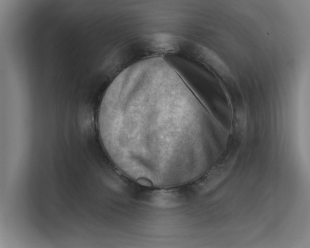 X0000111940320200908171302