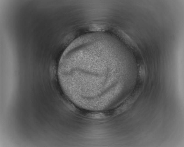 X0000111940322200908171302