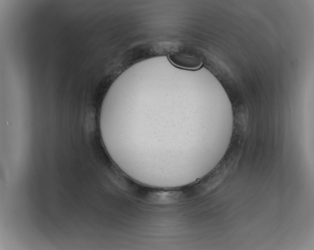 X0000111940323200908171302