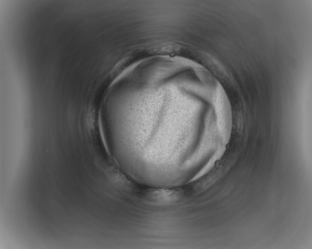 X0000111940326200908171302