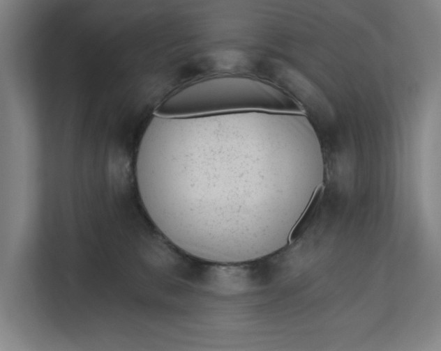 X0000111940327200908171302