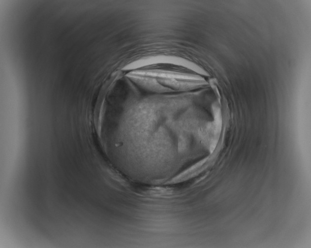 X0000111940328200908171302