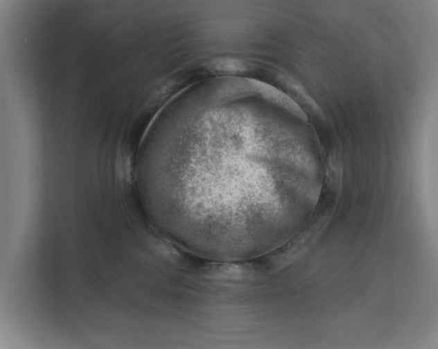 X0000111940330200908171302