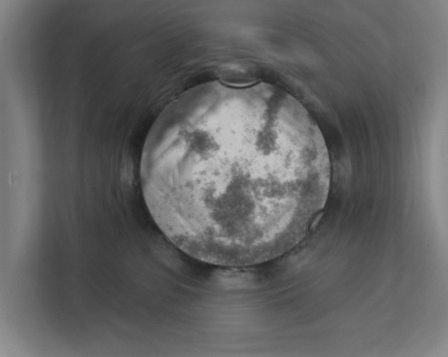 X0000111940331200908171302