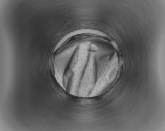 X0000111940332200908171302