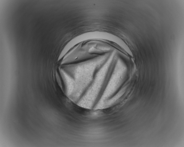 X0000111940333200908171302