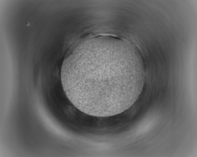 X0000111940335200908171302