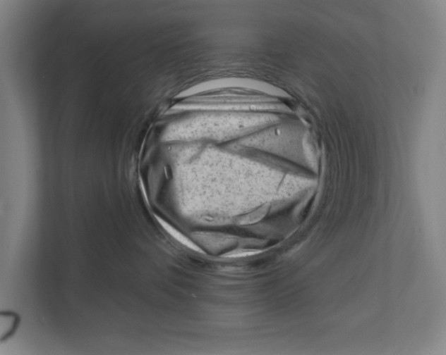 X0000111940336200908171302