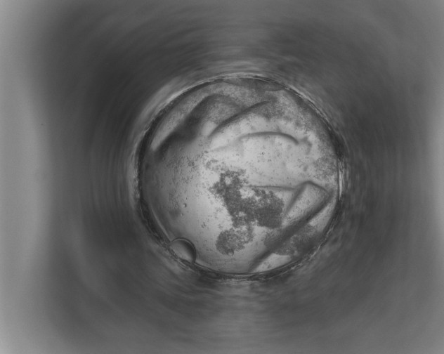 X0000111940339200908171301