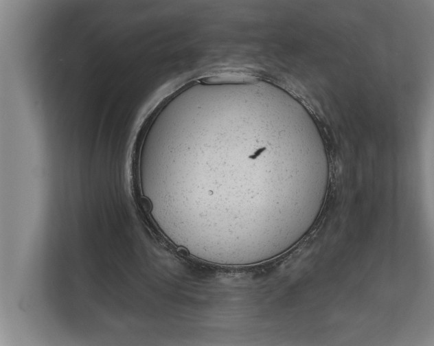 X0000111940340200908171301