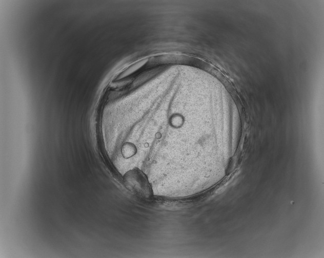 X0000111940341200908171301