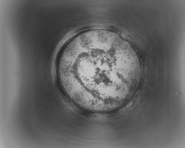 X0000111940343200908171301