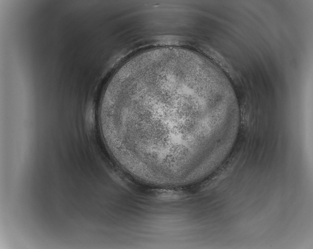 X0000111940347200908171301