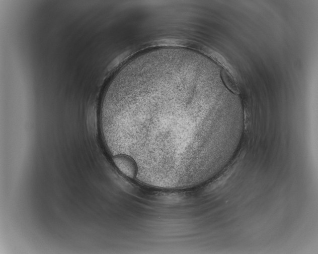 X0000111940349200908171301