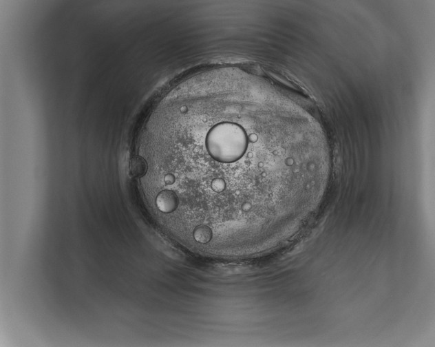 X0000111940351200908171302