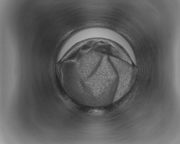 X0000111940352200908171302