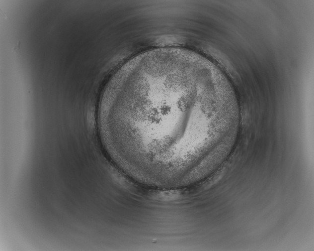 X0000111940353200908171302