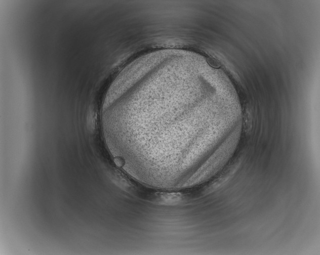 X0000111940355200908171302