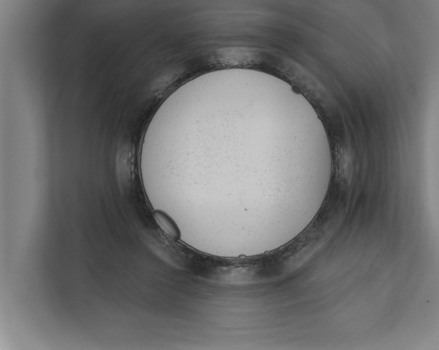 X0000111940356200908171302