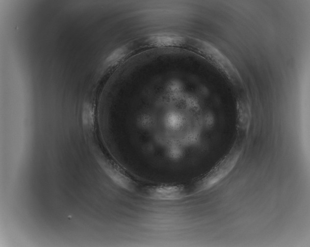 X0000111940357200908171302