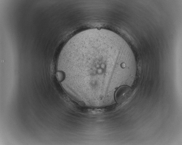 X0000111940359200908171302