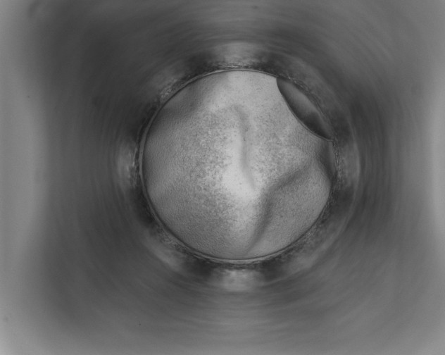 X0000111940360200908171302