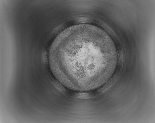 X0000111940361200908171302