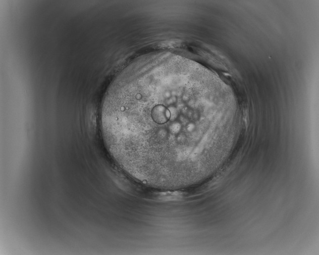 X0000111940363200908171302