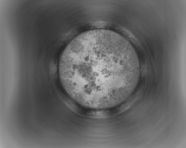 X0000111940365200908171302