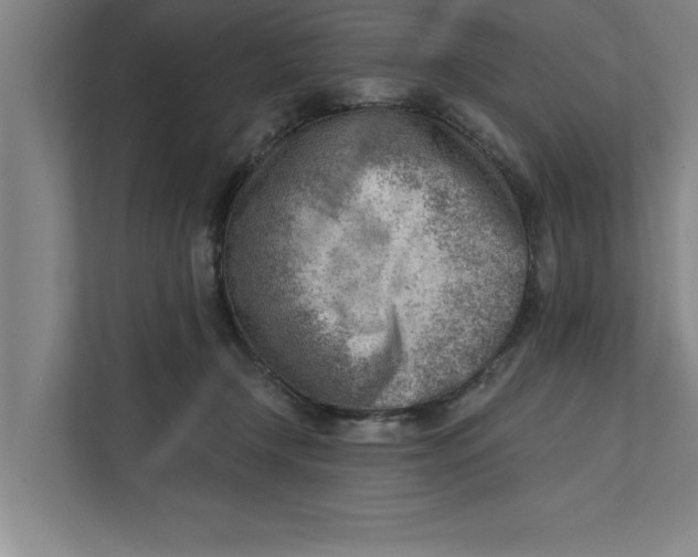 X0000111940366200908171302