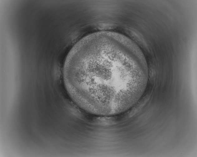 X0000111940367200908171302