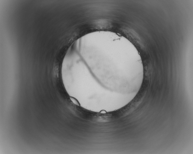 X0000111940368200908171302