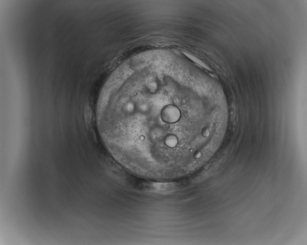 X0000111940371200908171302