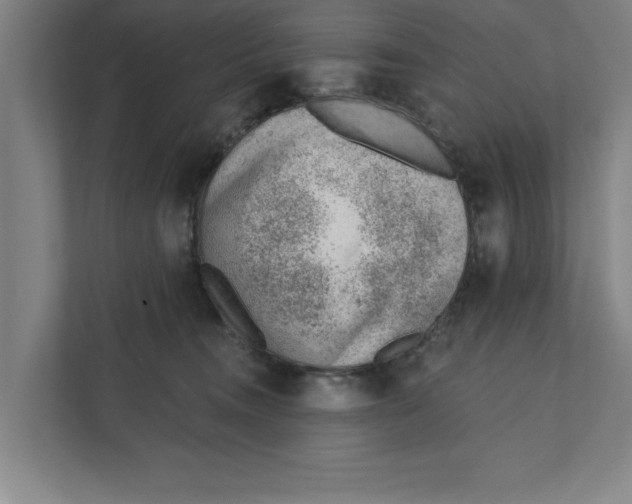 X0000111940372200908171302