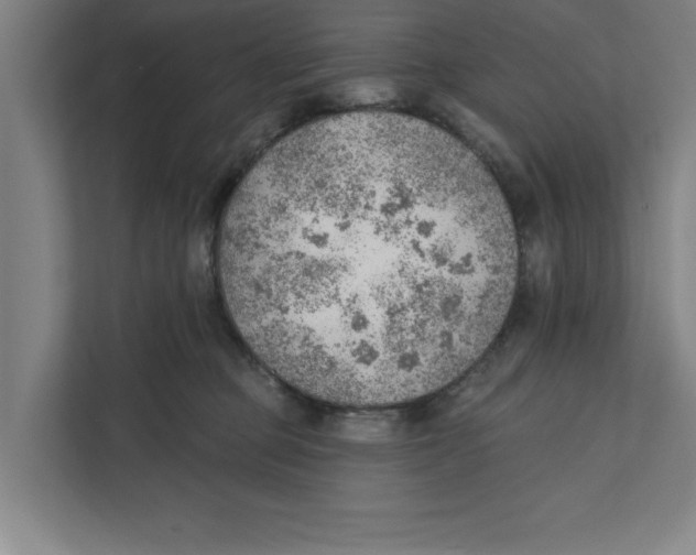 X0000111940373200908171302