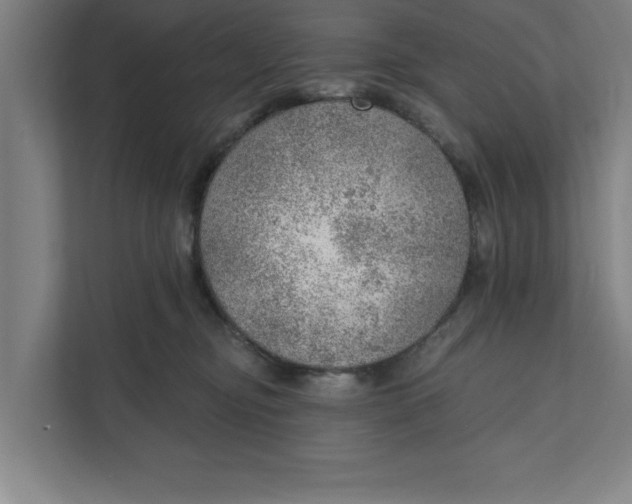 X0000111940374200908171302