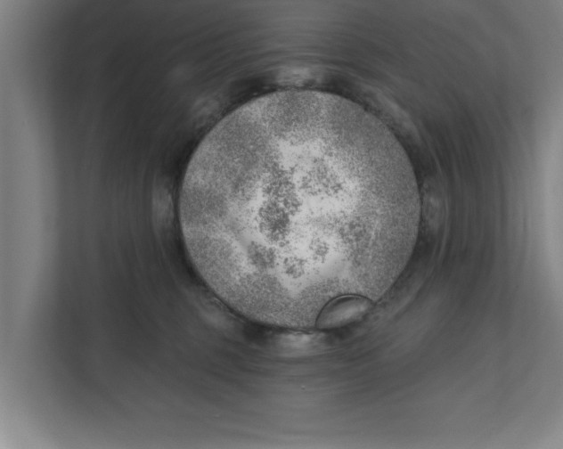 X0000111940375200908171302