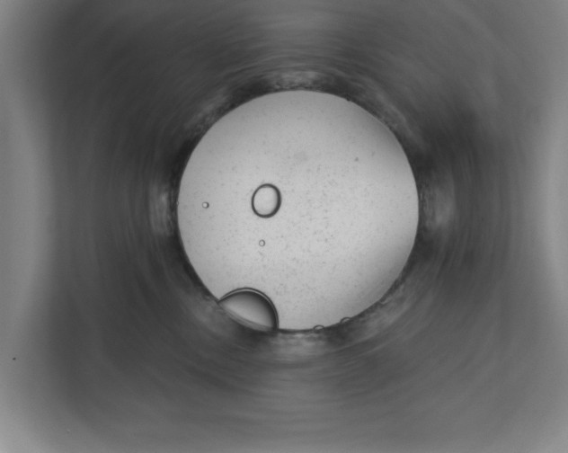 X0000111940378200908171302