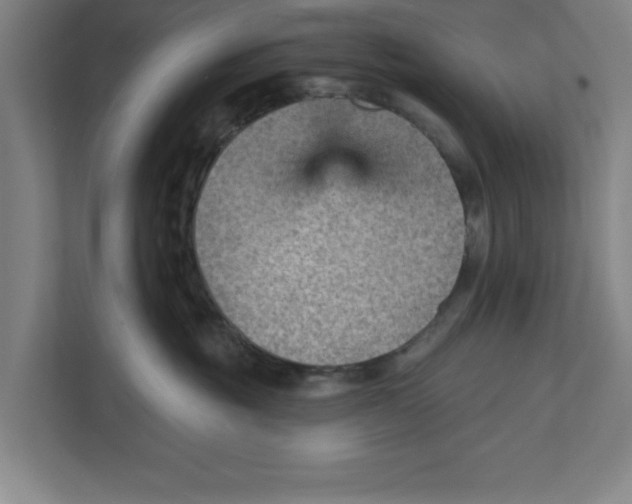 X0000111940381200908171302