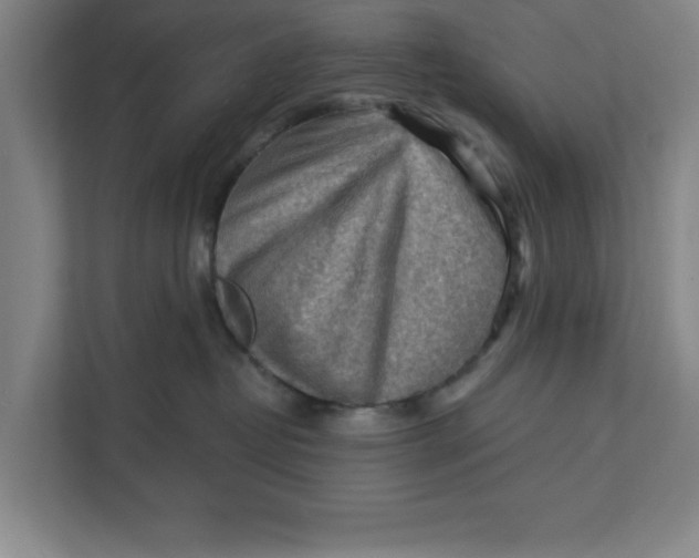 X0000111940382200908171302