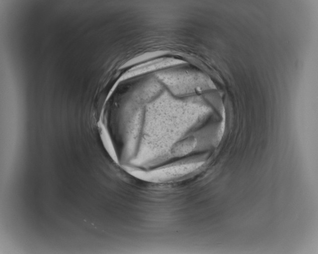 X0000111940384200908171302