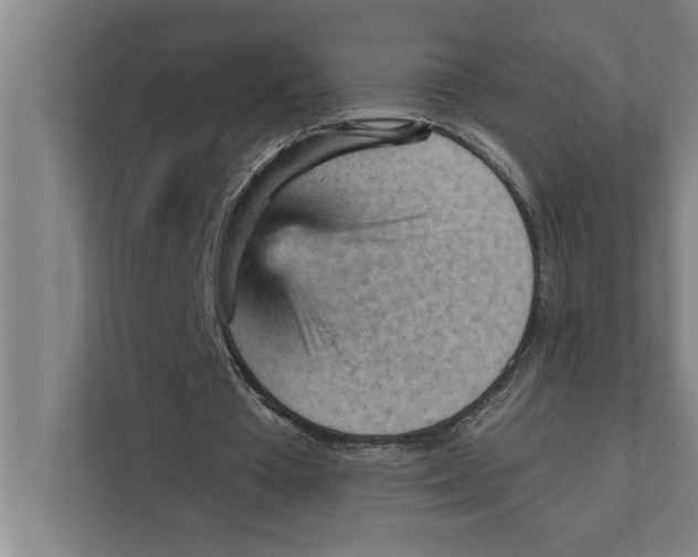 X0000111940385200908171301