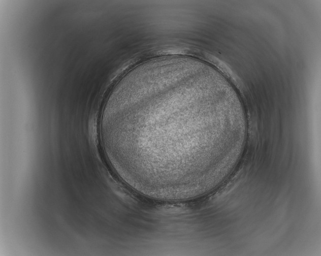 X0000111940386200908171301