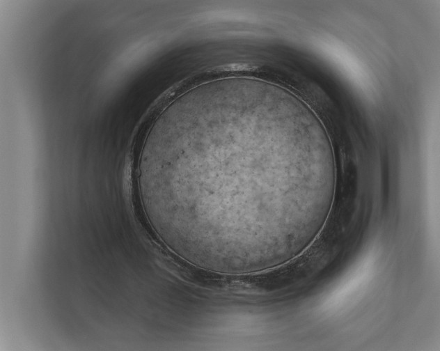 X0000111940387200908171301