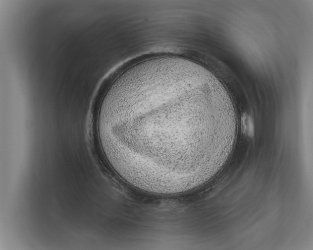 X0000111940388200908171301