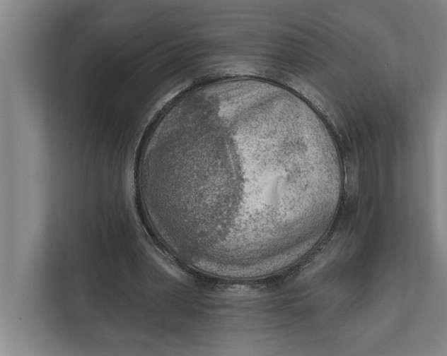 X0000111940390200908171301