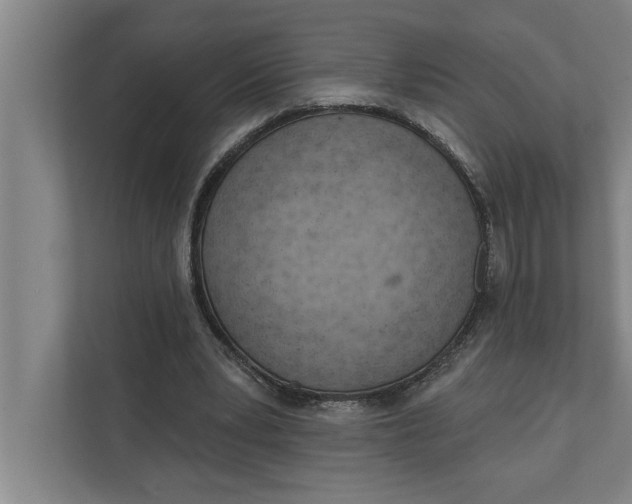 X0000111940391200908171301