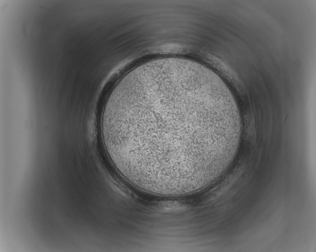 X0000111940392200908171301