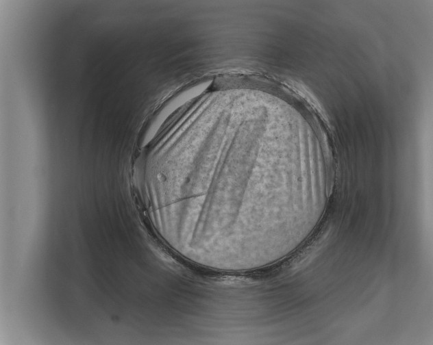 X0000111940393200908171301